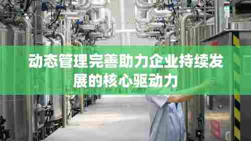 动态管理完善助力企业持续发展的核心驱动力
