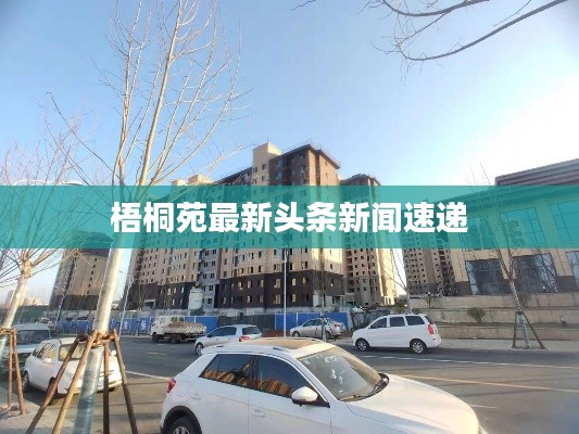 梧桐苑最新头条新闻速递