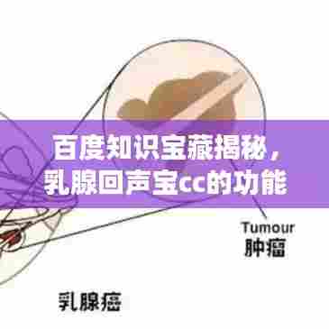 百度知识宝藏揭秘，乳腺回声宝cc的功能与应用探索