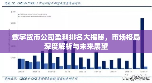 数字货币公司盈利排名大揭秘，市场格局深度解析与未来展望