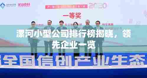 漯河小型公司排行榜揭晓,领先企业一览