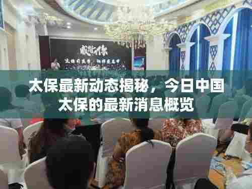 太保最新动态揭秘,今日中国太保的最新消息概览