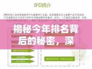 揭秘今年排名背后的秘密，深度解析后十名原因