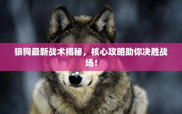 狼狗最新战术揭秘,核心攻略助你决胜战场!