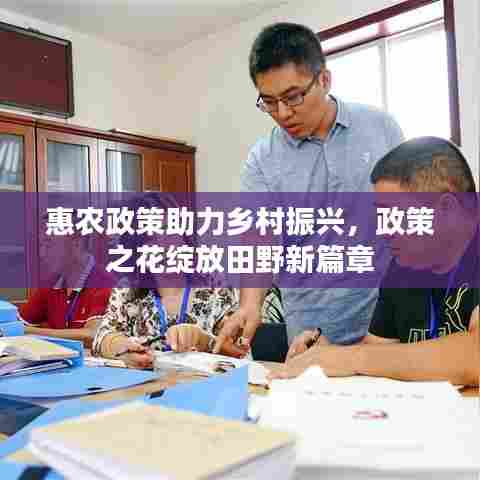 惠农政策助力乡村振兴,政策之花绽放田野新篇章