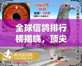 全球信鸽排行榜揭晓,顶尖信鸽竞技,谁将荣登榜首?