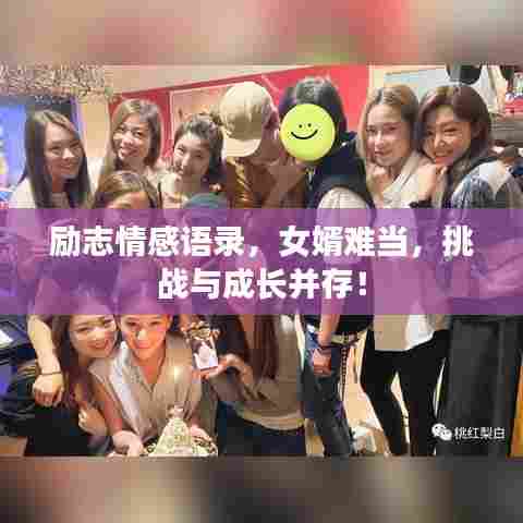 励志情感语录,女婿难当,挑战与成长并存!