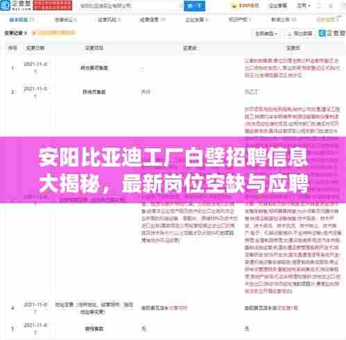 安阳比亚迪工厂白壁招聘信息大揭秘,最新岗位空缺与应聘指南