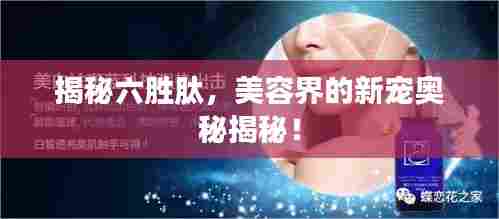 揭秘六胜肽,美容界的新宠奥秘揭秘!