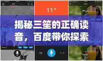 揭秘三笙的正确读音,百度带你探索语音奥秘