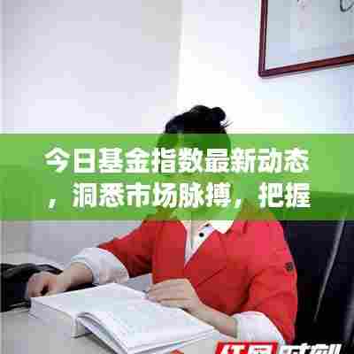 今日基金指数最新动态,洞悉市场脉搏,把握投资良机