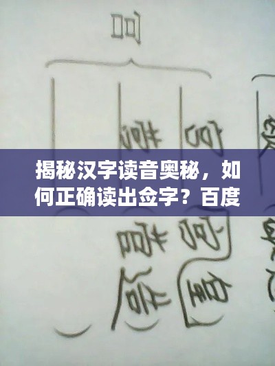 揭秘汉字读音奥秘,如何正确读出佥字?百度来帮你解答!