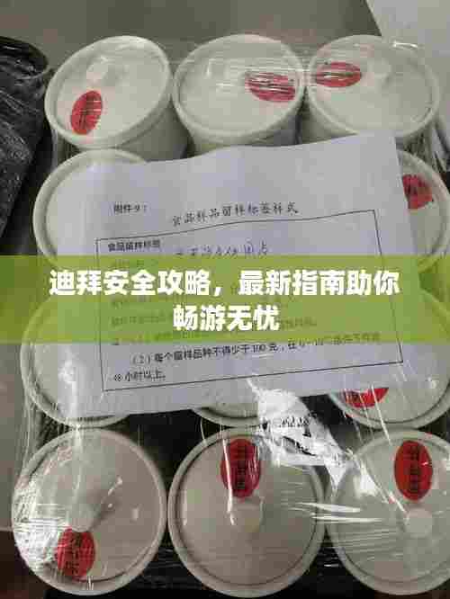 迪拜安全攻略,最新指南助你畅游无忧