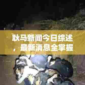 耿马新闻今日综述,最新消息全掌握