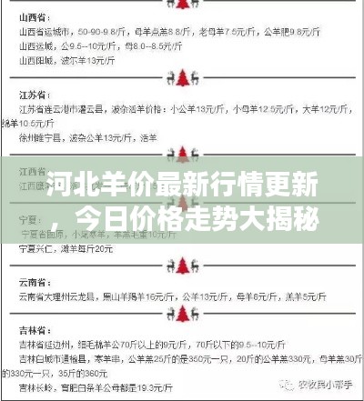 河北羊价最新行情更新，今日价格走势大揭秘！