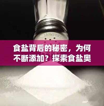 食盐背后的秘密,为何不断添加?探索食盐奥秘之旅
