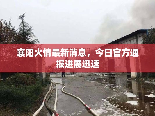襄阳火情最新消息,今日官方通报进展迅速