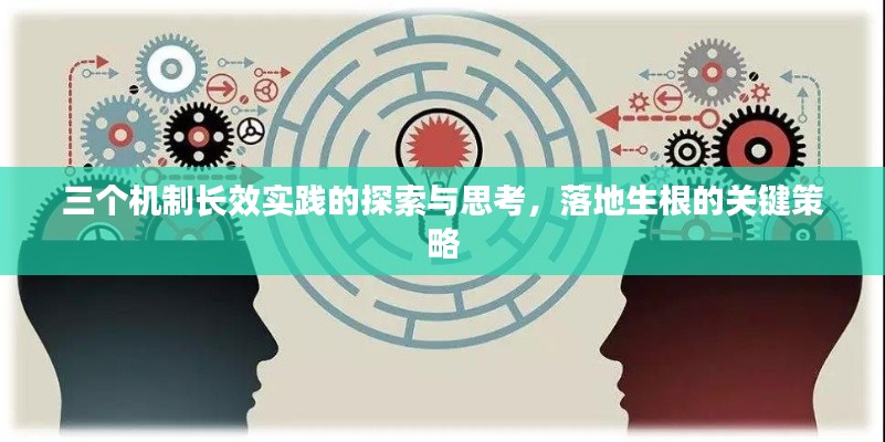 三个机制长效实践的探索与思考，落地生根的关键策略