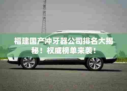 福建国产冲牙器公司排名大揭秘！权威榜单来袭！