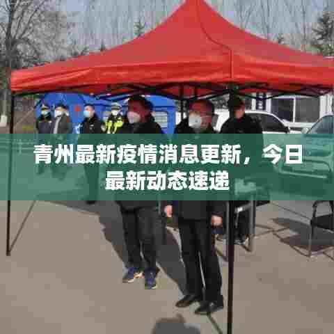 青州最新疫情消息更新,今日最新动态速递