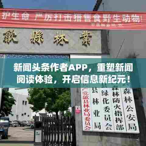 新闻头条作者APP,重塑新闻阅读体验,开启信息新纪元!