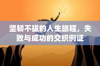 坚韧不拔的人生旅程,失败与成功的交织例证