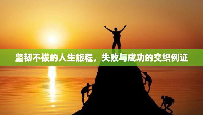 坚韧不拔的人生旅程,失败与成功的交织例证