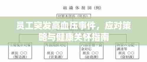员工突发高血压事件,应对策略与健康关怀指南