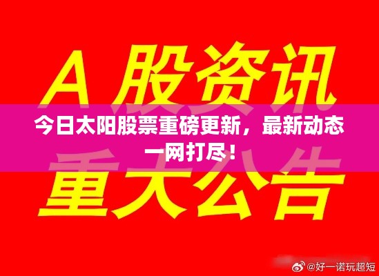 今日太阳股票重磅更新,最新动态一网打尽!