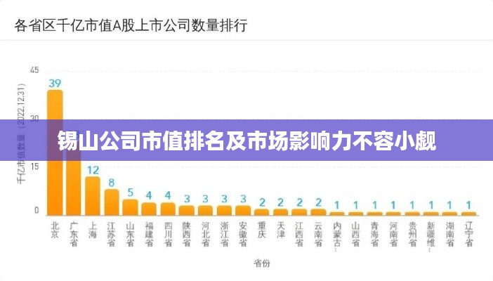 锡山公司市值排名及市场影响力不容小觑
