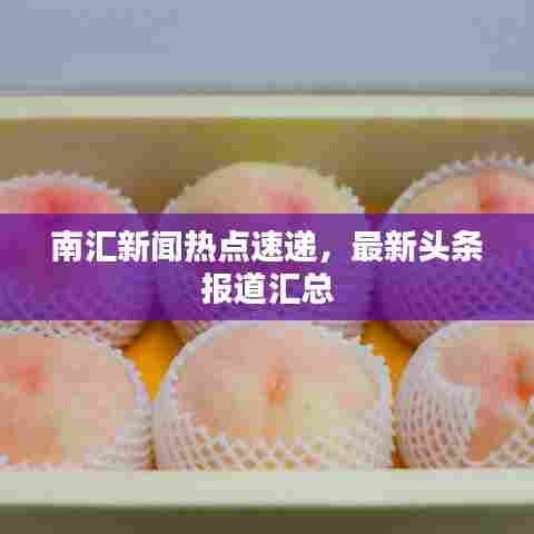 南汇新闻热点速递,最新头条报道汇总