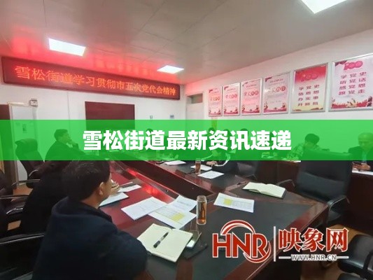 雪松街道最新资讯速递