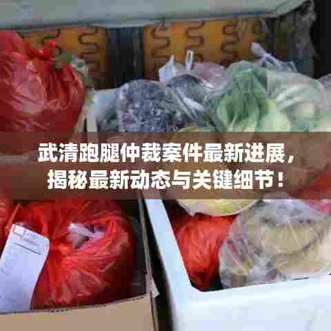 武清跑腿仲裁案件最新进展,揭秘最新动态与关键细节!