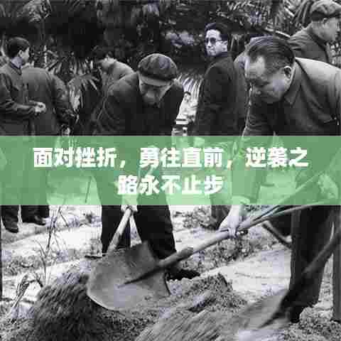 面对挫折,勇往直前,逆袭之路永不止步