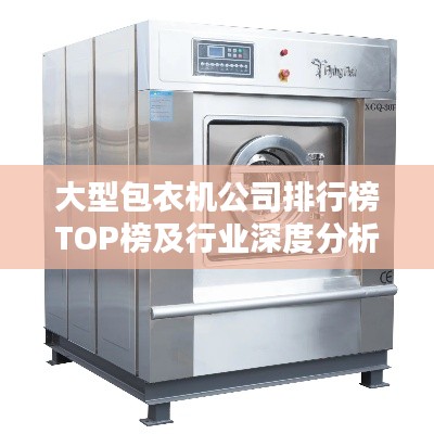 大型包衣机公司排行榜TOP榜及行业深度分析