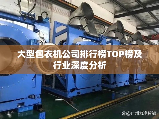 大型包衣机公司排行榜TOP榜及行业深度分析