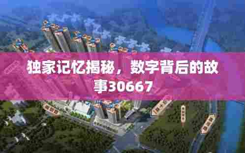 独家记忆揭秘,数字背后的故事30667