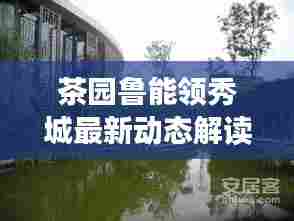 茶园鲁能领秀城最新动态解读,不容错过的通知解析