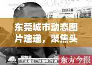东莞城市动态图片速递,聚焦头条新闻,领略时代风采