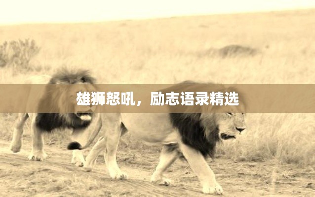 雄狮怒吼，励志语录精选