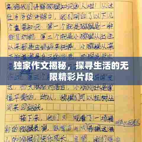 独家作文揭秘,探寻生活的无限精彩片段