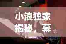 小浪独家揭秘,幕后故事与真实声音探寻