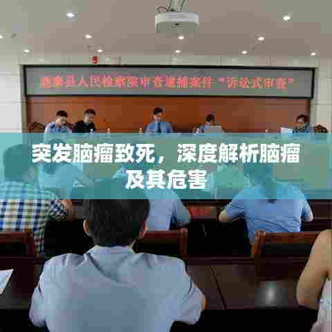 突发脑瘤致死,深度解析脑瘤及其危害