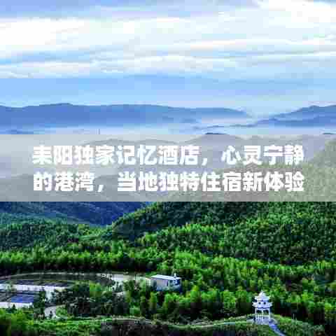 耒阳独家记忆酒店,心灵宁静的港湾,当地独特住宿新体验