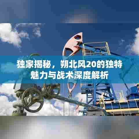 独家揭秘,朔北风20的独特魅力与战术深度解析