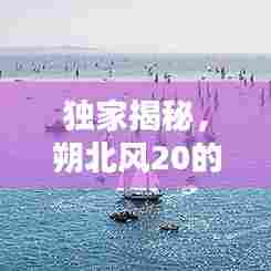 独家揭秘,朔北风20的独特魅力与战术深度解析