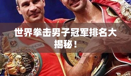 世界拳击男子冠军排名大揭秘!