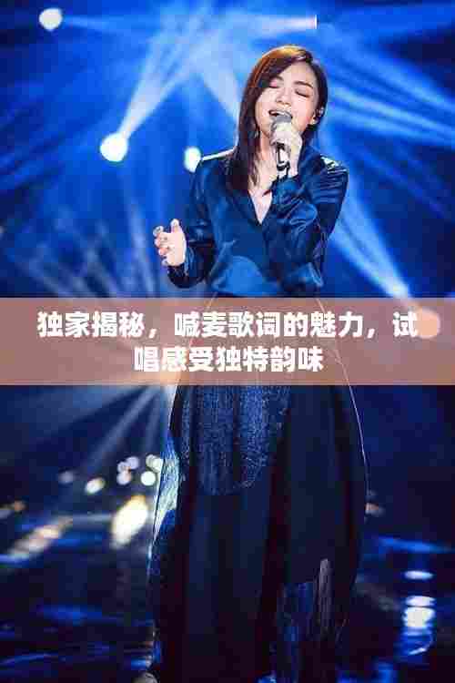 独家揭秘,喊麦歌词的魅力,试唱感受独特韵味