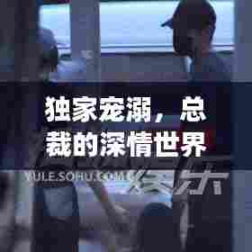 独家宠溺，总裁的深情世界之旅