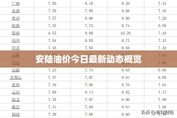 安陆油价今日最新动态概览